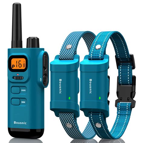 Best Shock Collars For Long-Haired Dogs: Top Picks For Effective Training