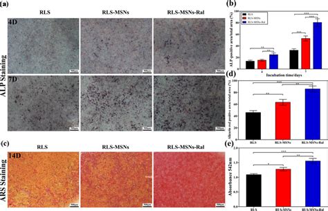 A Optical Images And B Quantitative Results Of Alp Staining For Mg