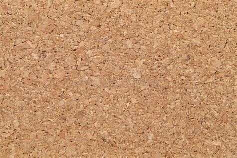 Empty Blank Cork Board Stock Photo Image Of Japanese