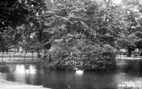 Three Island Pond Wandsworth Common C1900 Wandsworth Borough Photos