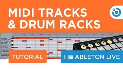 Separate Midi Tracks In Drum Rack Ableton Live Tutorial Youtube