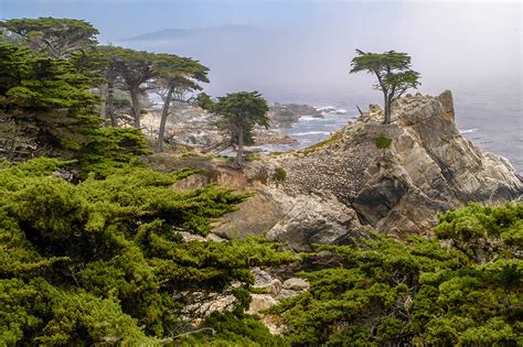 15 Romantic Things To Do In Monterey California Travel