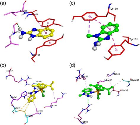 Molecular Docked Structure Represents Noncovalent Interaction Of A