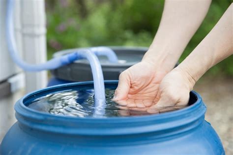 【コラム】雨水を利用しよう！濾過器の自作方法やメリット・デメリットなどをご紹介！ ｜ エアリス