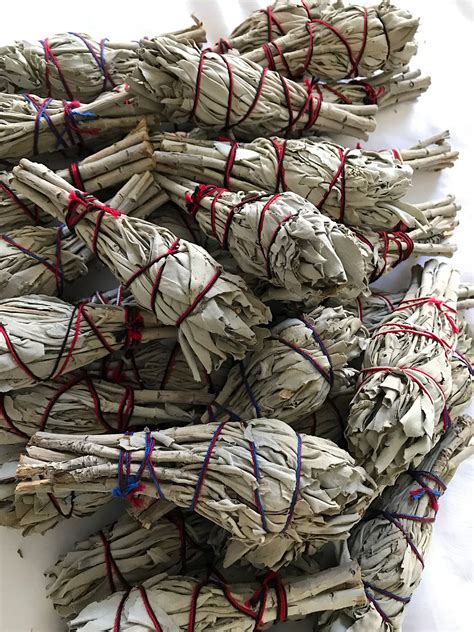 11 Benefits Of Burning Sage How To Find The Right Type Of Sage And