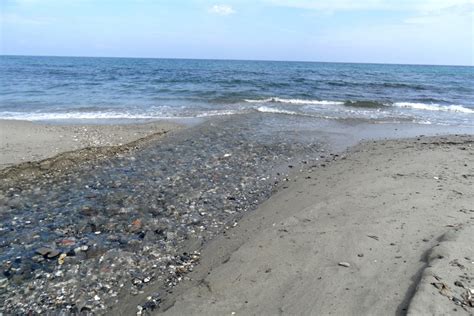 La Rivi Re Petrignanu Qui Se Jette Dans La Mer Une Photo De Cervione