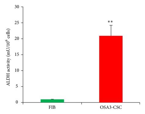 Aldh Activity Assay The Aldh Colorimetric Assay Detected High Levels Download Scientific