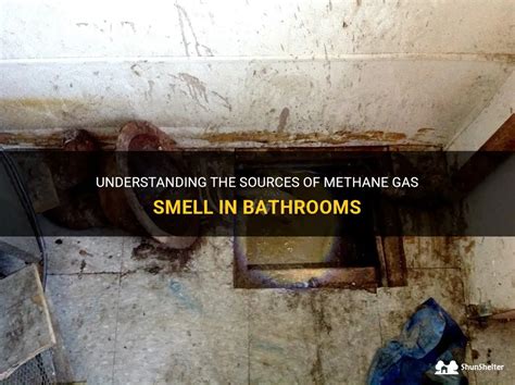 Understanding The Sources Of Methane Gas Smell In Bathrooms Shunshelter