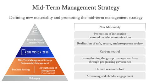 What Is Medium Term Strategic Framework Webframes Org