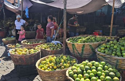 Variedad de productos para La Purísima en el Mayoreo