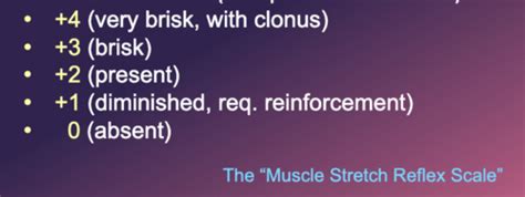 Neuro Emergencies Pt 2 Flashcards Quizlet