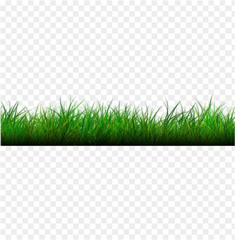 grass png images background toppng
