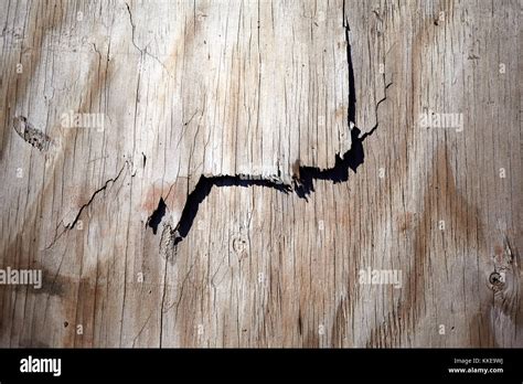 Background texture of old dried splintering wood with woodgrain pattern ...