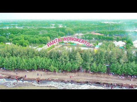 Pantai Wonokerto Pekalongan Wisataalam Pantai Wisatapantai Youtube