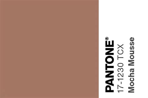 Colour Of 2025 Pantone Mocha Mousse Embracing Harmony Pantone