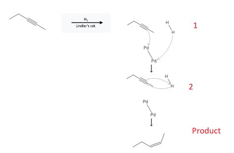 Orgosolver