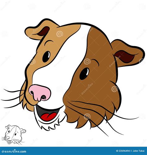 Guinea Pig Stock Vector Illustration Of White Head