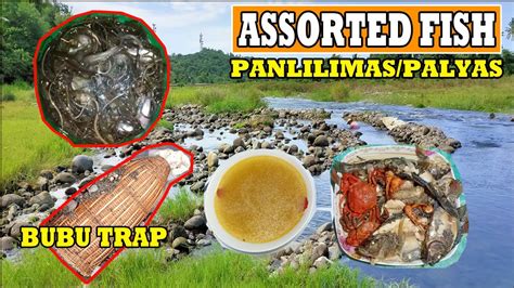 Panlilimas Ng Isda Sa Ilogpalyas Bubu Trap Daming Huli Sinigang Na