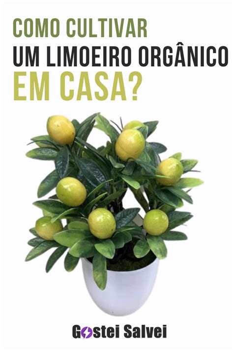 Como cultivar um limoeiro orgânico em casa GosteiSalvei