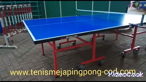 Tenis Meja Pingpong Merk Double Fish Aw Outdoor Youtube