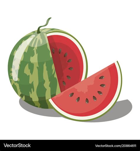 Cartoon Watermelon Sliced Sweet Watermelon Vector Image