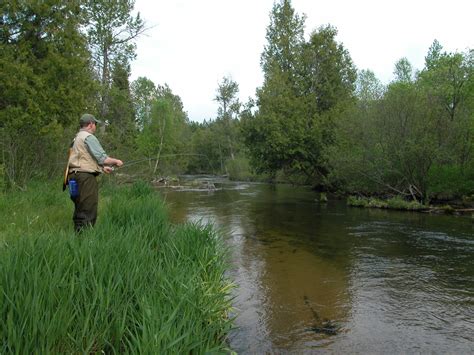 Action Alert: DeWard Tract could open to ORV - Schrems West Michigan ...