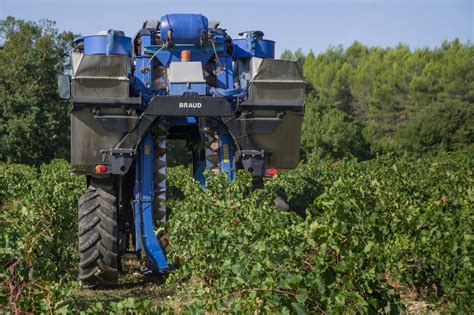 Machine à vendanger utilité critères de choix et prix Guide