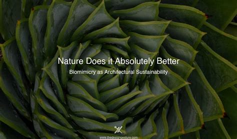 Nature Does It Absolutely Better Biomimicry As Architectural Sustainability The Design Gesture