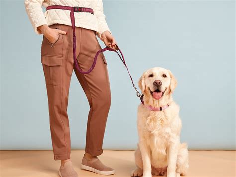 We Love This Hands Free Dog Leash For Walks And Runs Chatelaine