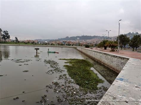 Cuando El Progreso Se Vuelve Un Ecocidio La Destrucci N Del Humedal