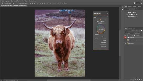 Color Grading In Photoshop Is Possible For Everyone We Review Infinite