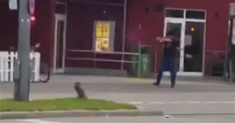 Watch The Horrifying Moment Munich Gunman Opens Fire Outside Mcdonald S