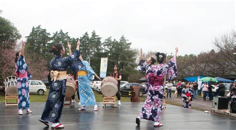 Feira Na Col Nia Japonesa Oportuniza Levar Seu Pet No Domingo Jornal