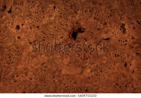 Dark Brown Burl Wood Texture Stock Photo Edit Now