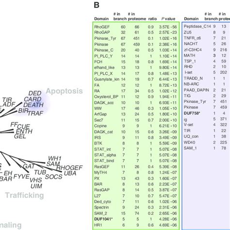 Clustering Protein Domains Into Related Molecular Environments A