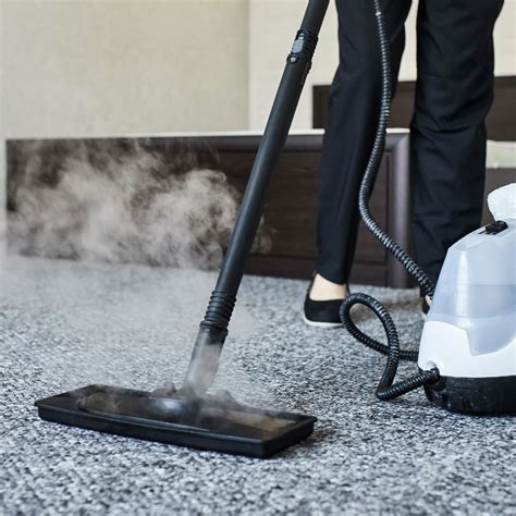 What Is The Best Steam Cleaner For Carpets Gadgets Club