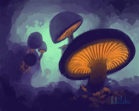 Fungi By Artgeektopia On Deviantart