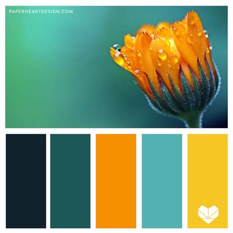 Teal color palette - 67 photo