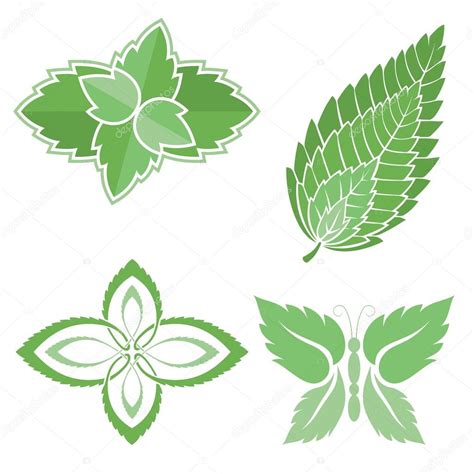 Mint leaves icons — Stock Vector © fractal #6737610