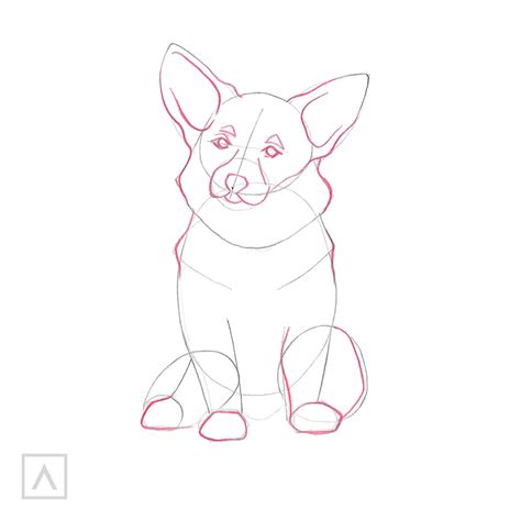 Corgi Drawing Step-By-Step Guide | ARTEZA