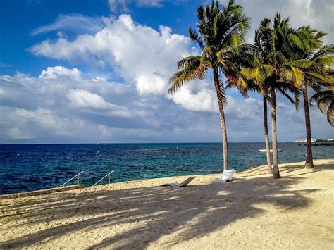 Introducir Imagen Cozumel Parque Nacional Chankanaab Abzlocal Mx