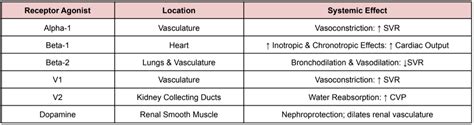 Pharmacology 101 Vasopressors — Tldr Pharmacy