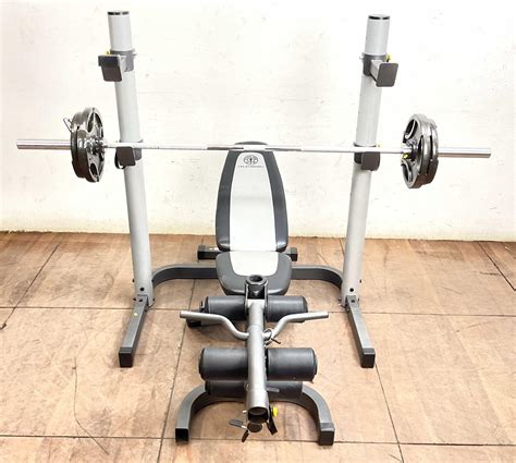 Lot - Golds Gym Platinum Weight Lifting Set