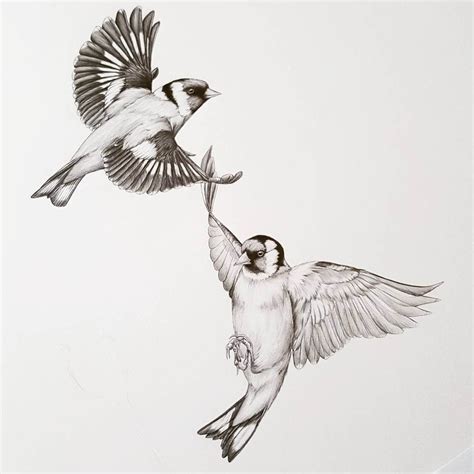 Goldfinch in Flight - Detailed Black and White Wildlife Drawings