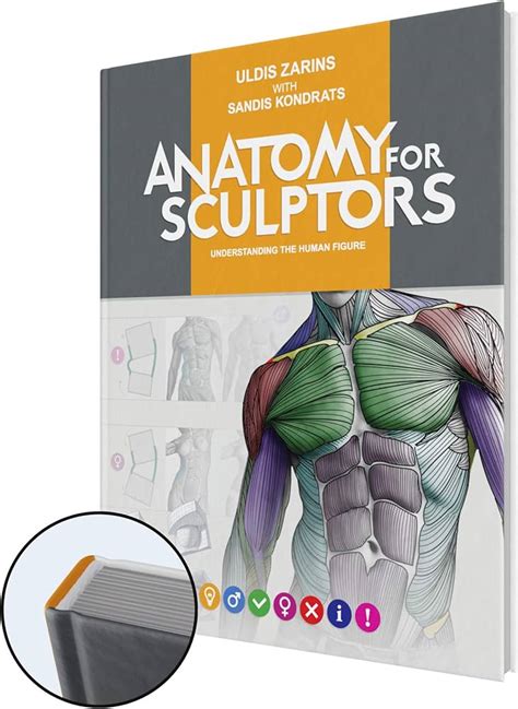 Anatomy For Sculptors – Understanding The Anatomy Of The, 41% OFF