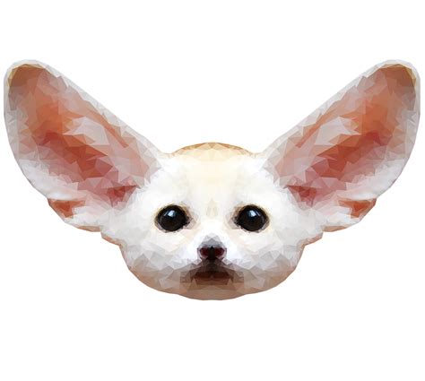 Fennec Fox Free Download Transparent Hq Png Download Freepngimg