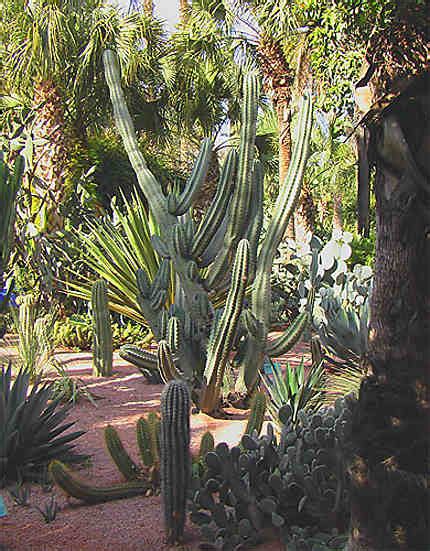 Jardin Plantes Jardin Majorelle Guéliz Marrakech Routard