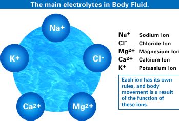 Electrolytes – What do they Do and How Do I Get Them? | Coconut Water