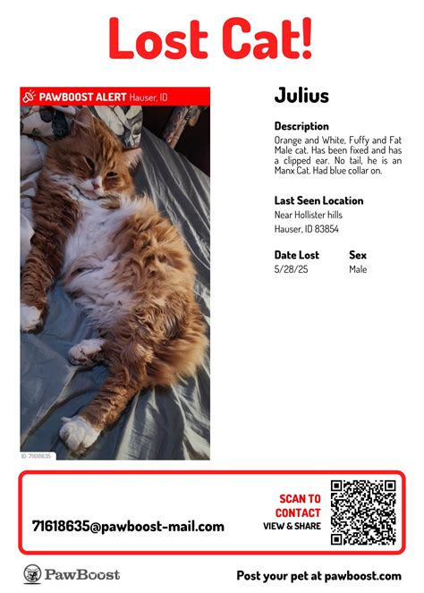 Lost and Found Pets of CDA Idaho | Facebook