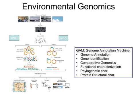 Next Gen Sequencing Ngs Technology Overview